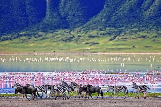 Tanzania — photo 2