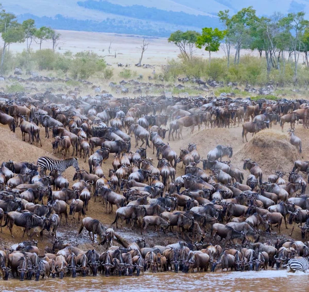 Tanzania — photo 6